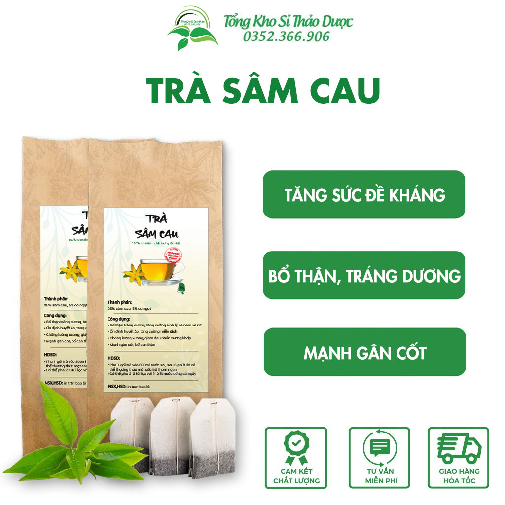 Trà sâm cau giảm đau nhức xương khớp, tăng cường sinh lý nam nữ - Tổng kho sỉ thảo dược