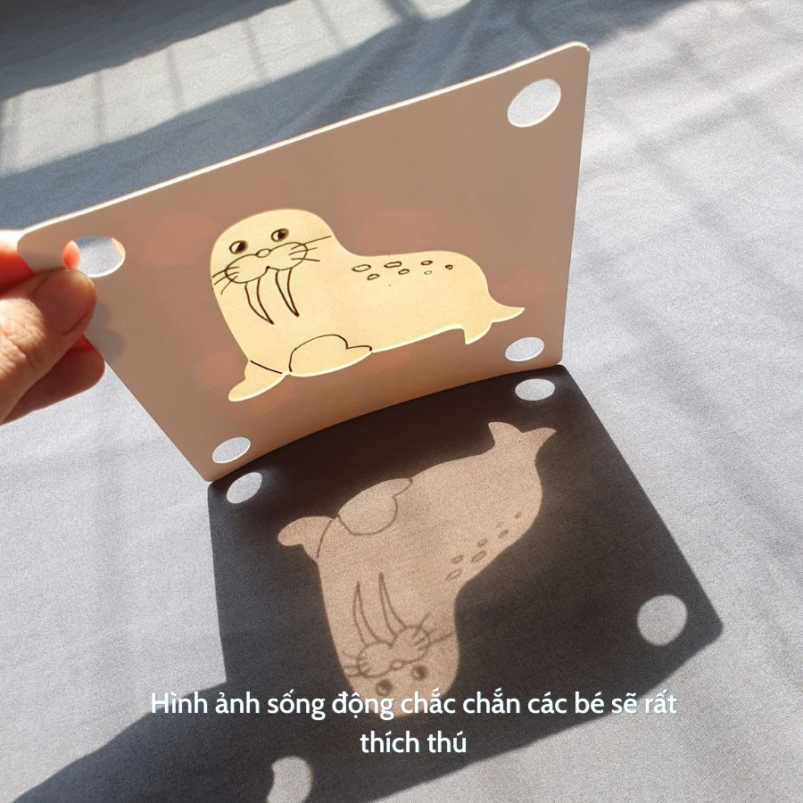 Giấy kính nhiều màu làm hoạt động chiếu bóng thú vị, giấy bóng kính màu, mica màu
