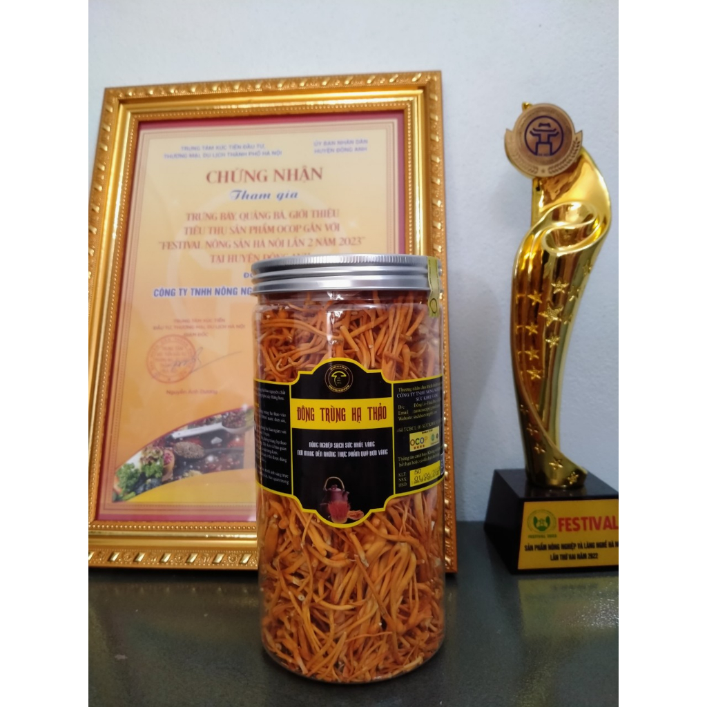 Đông trùng hạ thảo sấy thăng hoa sức khỏe vàng hộp 50gram