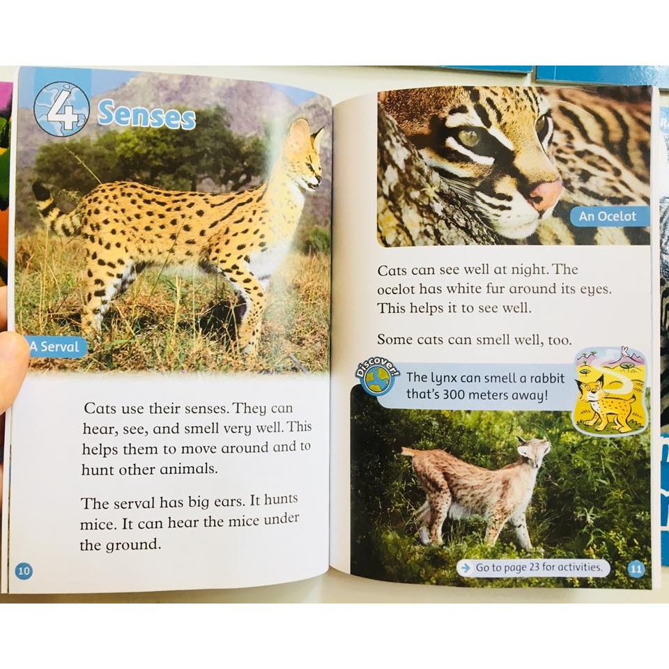 Sách - Oxford read and discover/imagine - Level 1-2-3-4-5-6