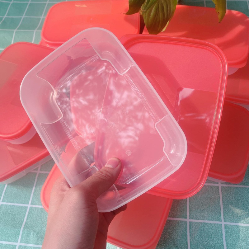 Hộp đông dẹt 250ml tupperware chính hãng