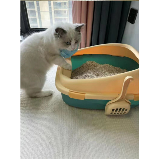 [ HỎA TỐC] Khay cát mèo, khay vệ sinh cho mèo thành cao hình vịt dễ thương