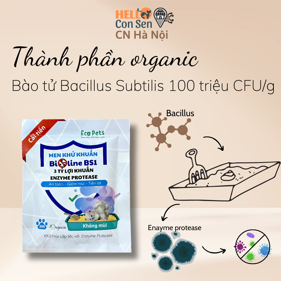 Dụng cụ vệ sinh ECOPETS khay vệ sinh cho mèo con thành cao chống văng cát khay vệ sinh thú cưng an toàn tiện lợi 40*29*1