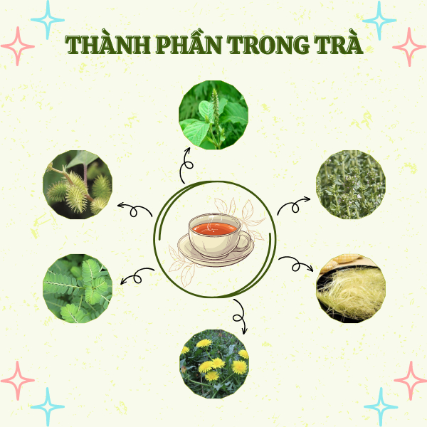 Trà Vi.êm Đường T.iết N.iệu, Giảm triệu ch.ứng vi.êm đường ti.ết ni.ệu, thanh lọc cơ thể, giảm tiểu đêm - Thiên Cát