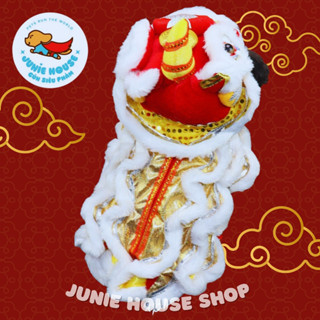 Áo lân vàng lấp lánh mặc Tết cho chó mèo (ảnh thật)