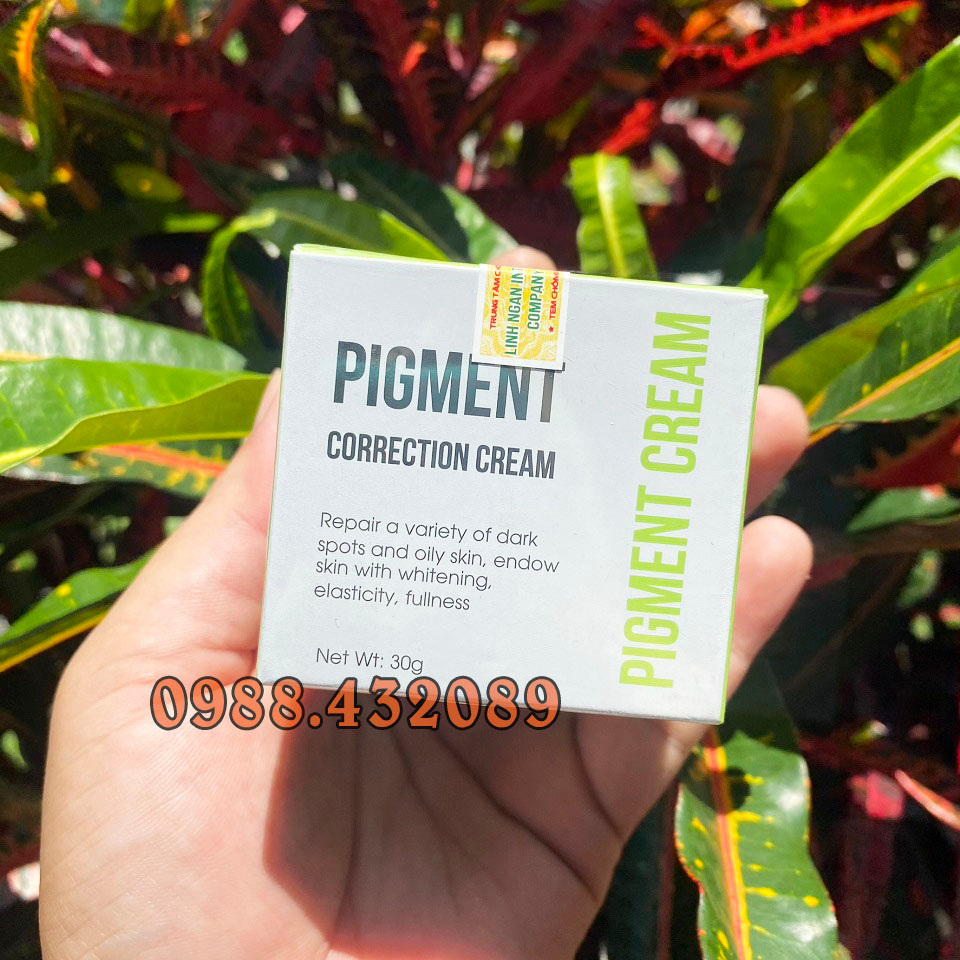 Kem Nám PIGMENT CORRECTION CREAM