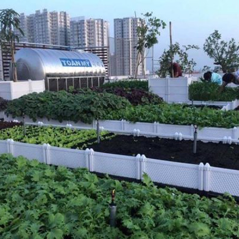 Đất Tribat, túi 5dm3, trồng cây cảnh, rau sạch, rau mầm hiệu quả