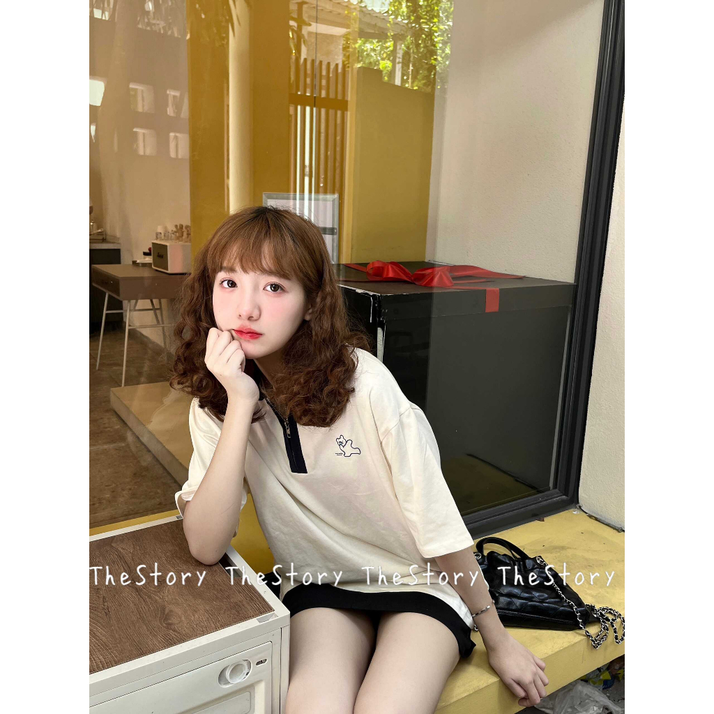 Áo polo gấu mix màu  A3197