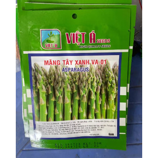 Hạt giống măng tây xanh thái lan gói 50 hạt. hạt giống măng tây xanh thái lan gói 50 hạt