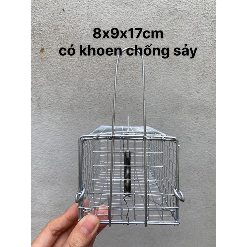 Bẫy Chuột Đồng Có Khoen Chống Sảy (8x9x17cm)