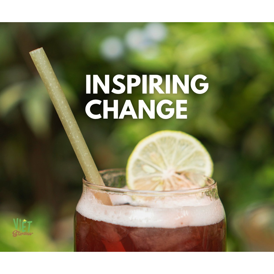 Hộp 100 Ống hút gạo Φ6x200mm Vietstraw