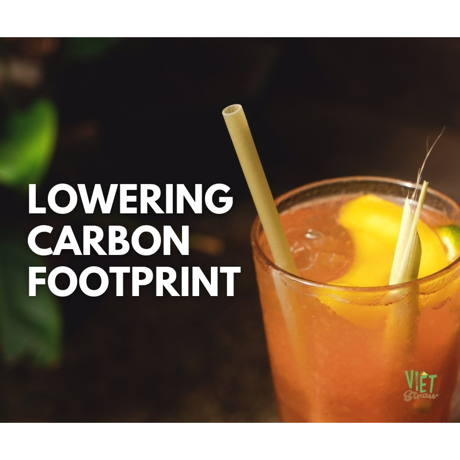 Hộp 100 Ống hút gạo Φ6x200mm Vietstraw