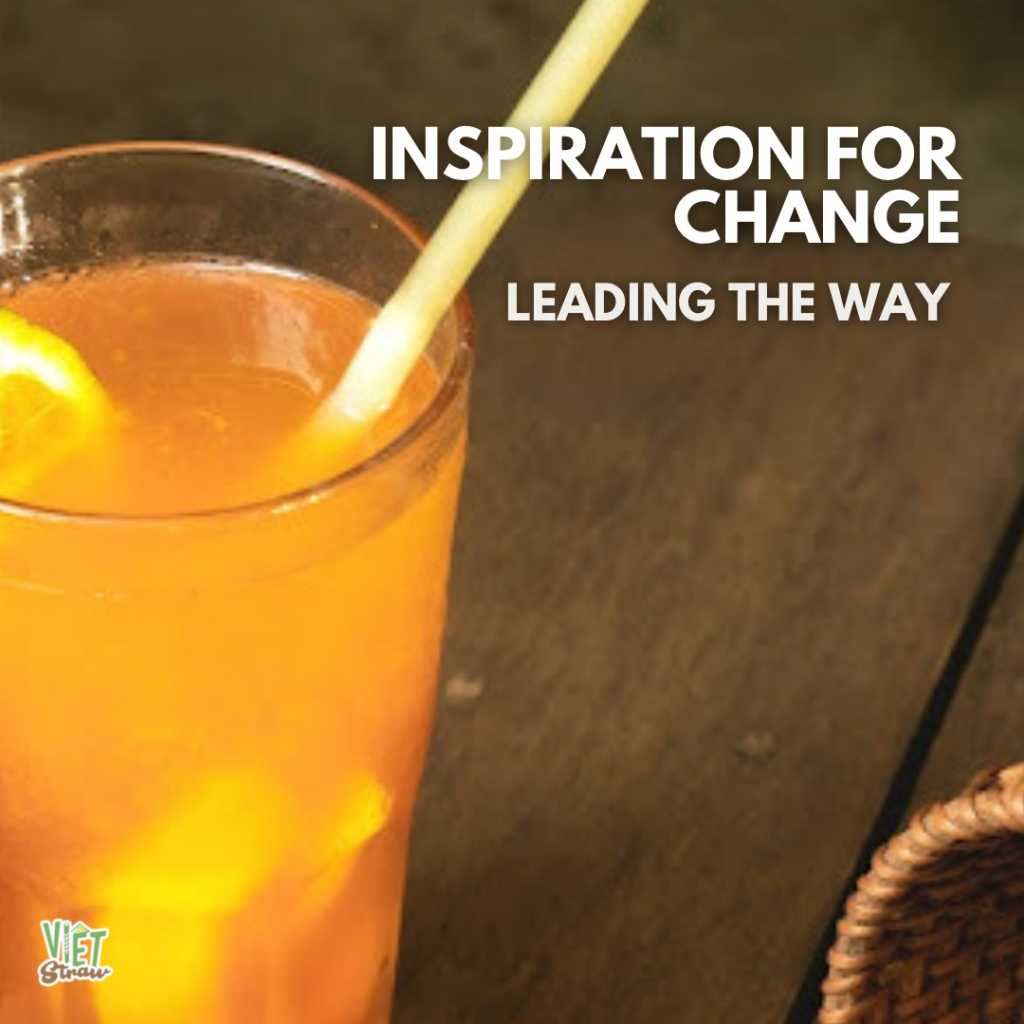 Hộp 100 Ống hút gạo Φ6x200mm Vietstraw