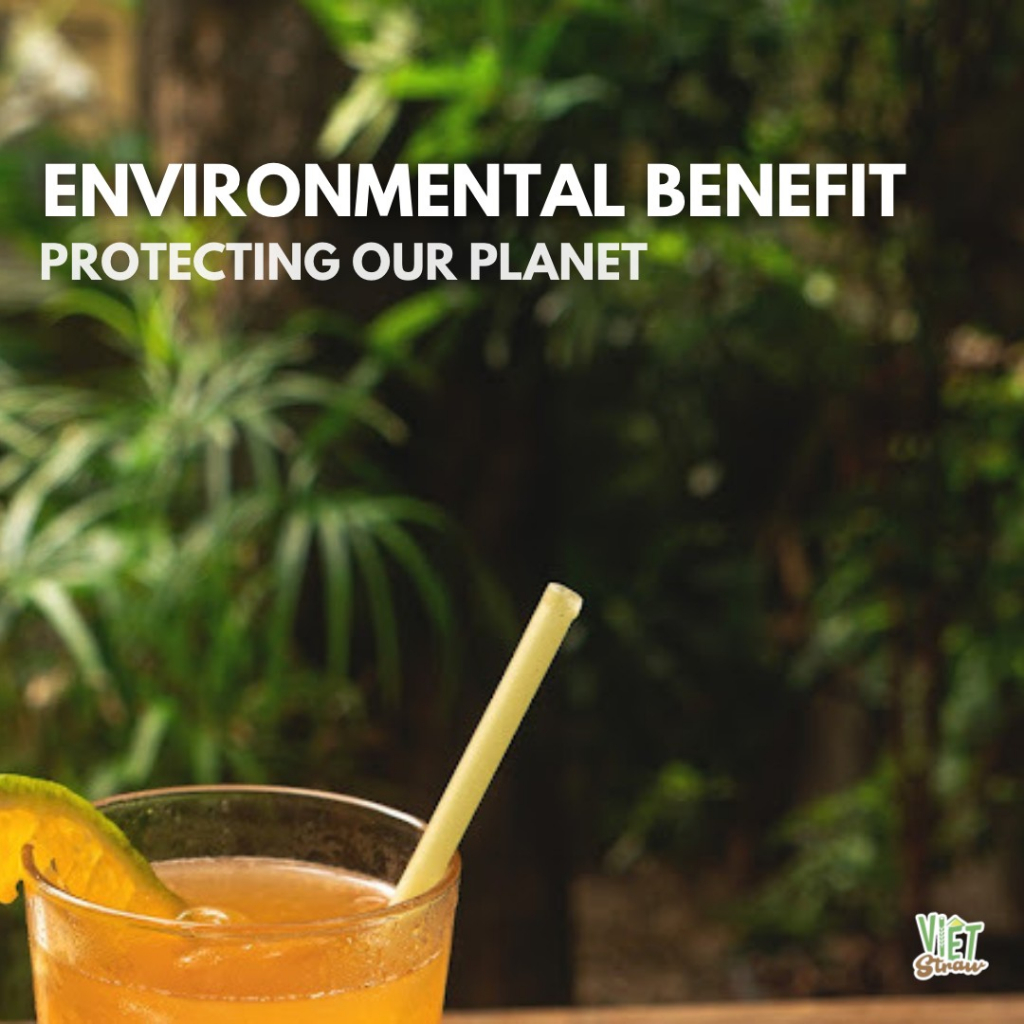 Hộp 100 Ống hút gạo Φ6x200mm Vietstraw