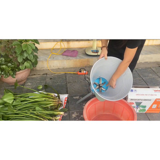 Máy băm bèo băm rau muống giá rẻ