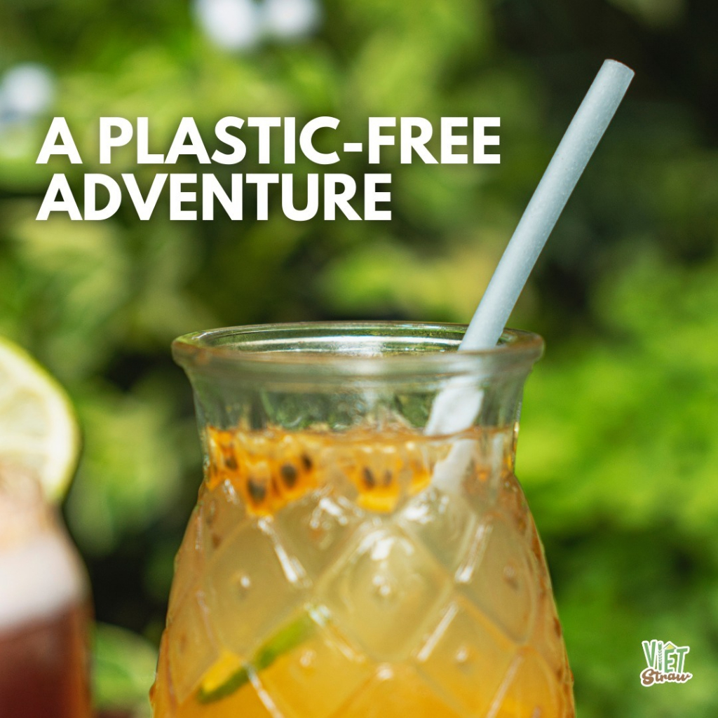 Hộp 100 Ống hút gạo Φ6x200mm Vietstraw