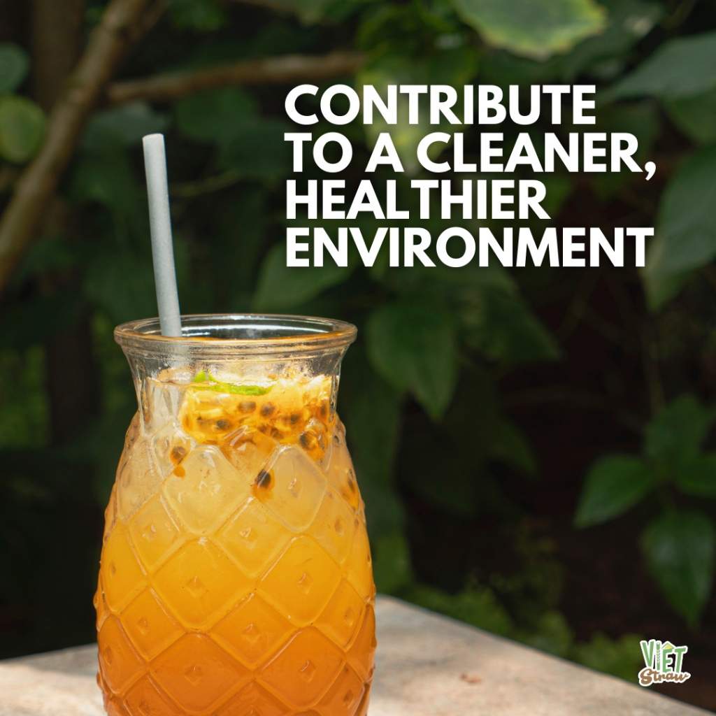 Hộp 100 Ống hút gạo Φ6x200mm Vietstraw