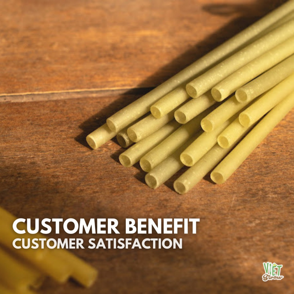 Hộp 100 Ống hút gạo Φ6x200mm Vietstraw