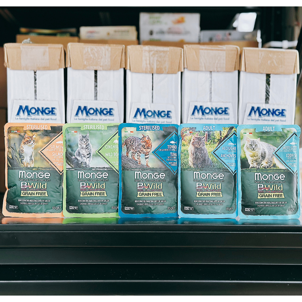 85gr - Pate Monge BWild cho Mèo cao cấp Grain Free thành phần không tinh bột từ Cá Hồi Cá Tuyết Heo Salmon Cod Wild Boar