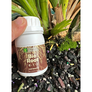 Bio root 100ml giúp kích rễ cực mạnh, ra nhiều rễ dành cho hoa lan cây cảnh