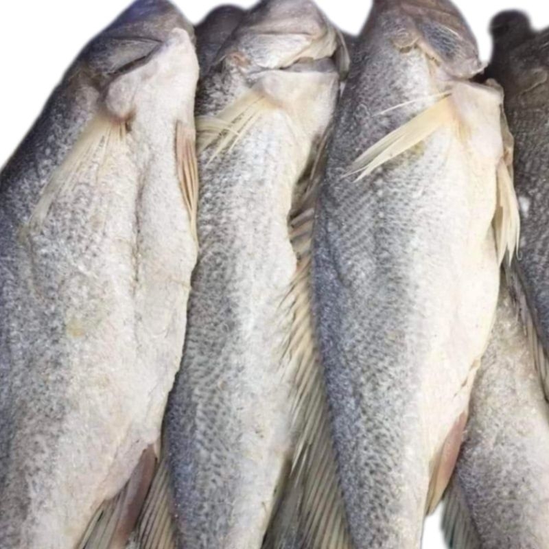 Khô cá sửu muối dùi bán nguyên con từ 400_800gram
