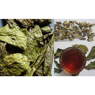 COM BO 10 CÂY GIỐNG XẠ ĐEN( tặng kèm phân bón)