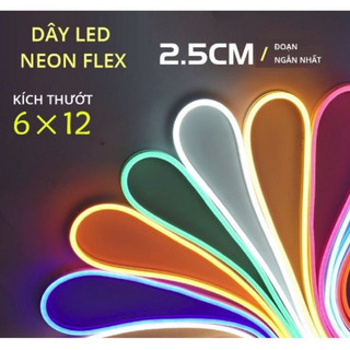 5m dây led neon kèm nguồn