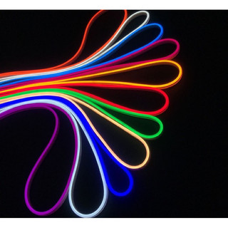 [Tặng dimmer chỉnh sáng]5m dây led neon kèm nguồn