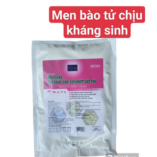 Men bào tử 100g, chịu kháng sinh, chịu nhiệt