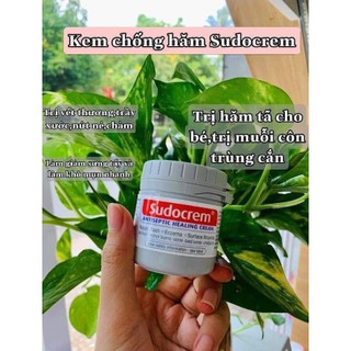 Kem phòng hăm sudo cream hộp 60gr