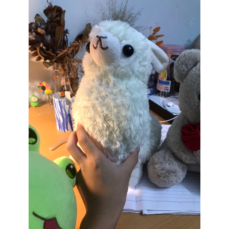 Gấu bông làm quà