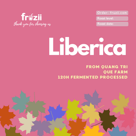 250 gram cà phê Mít - Quảng Trị - Sơ chế đặc biệt 120h