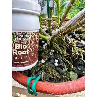 Bio root 100ml kích rễ giúp cây ra rễ nhanh, nhiều rễ dành cho hoa lan cây cảnh nhập khẩu Mỹ