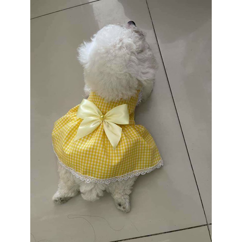 Đầm thiết kế dành cho chó mèo siêu xinh