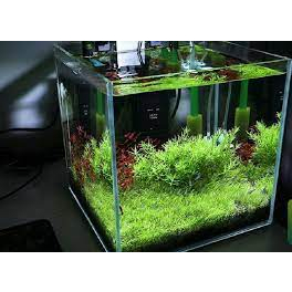 Phân nền thủy sinh S.MÊKÔNG Bioplus 2kg