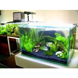 Phân nền thủy sinh S.MÊKÔNG Bioplus 2kg