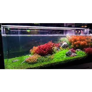 Phân nền thủy sinh S.MÊKÔNG Bioplus 2kg