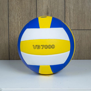 Bóng chuyền da Thăng Long VB7000, VB7400, VB7700