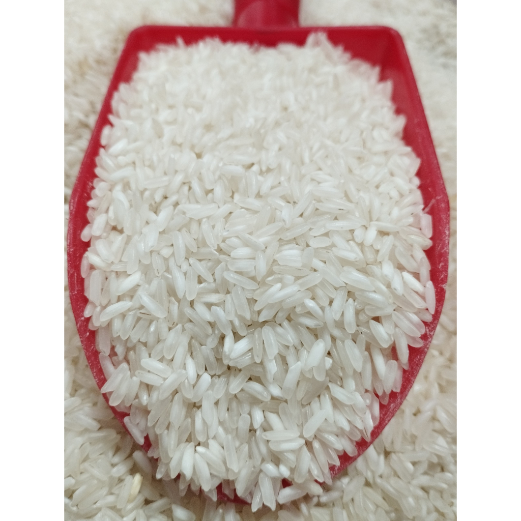 5KG Gạo 504 Nở - Gạo Nở Cơm, Rời Hạt - Bena Organic