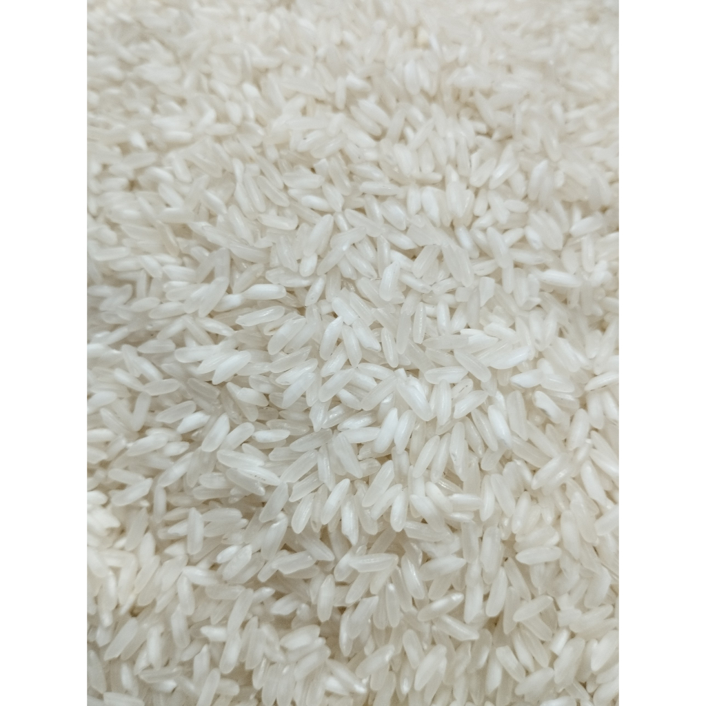 5KG Gạo 504 Nở - Gạo Nở Cơm, Rời Hạt - Bena Organic