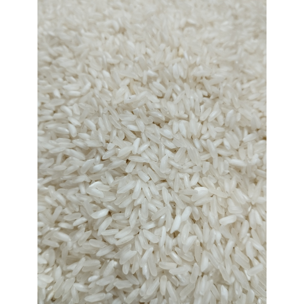 5KG Gạo 504 Nở - Gạo Nở Cơm, Rời Hạt - Bena Organic