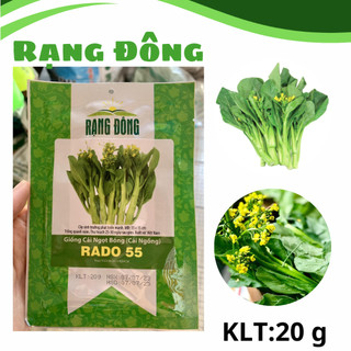 Hạt giống cải ngồng, cải ngọt bông Rado 55