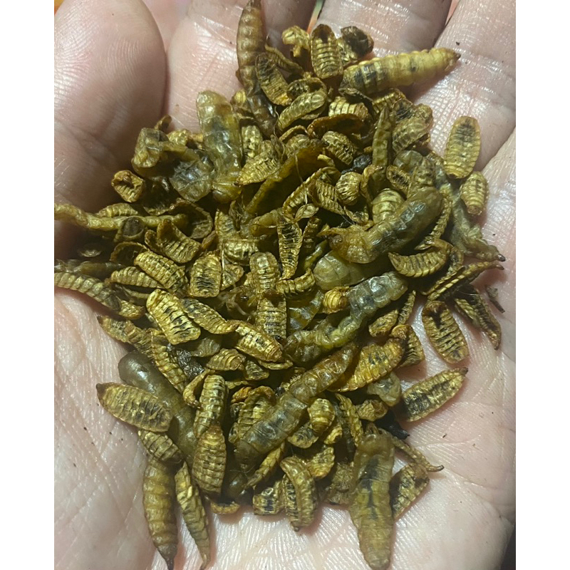 Sâu Canxi sấy khô 200g