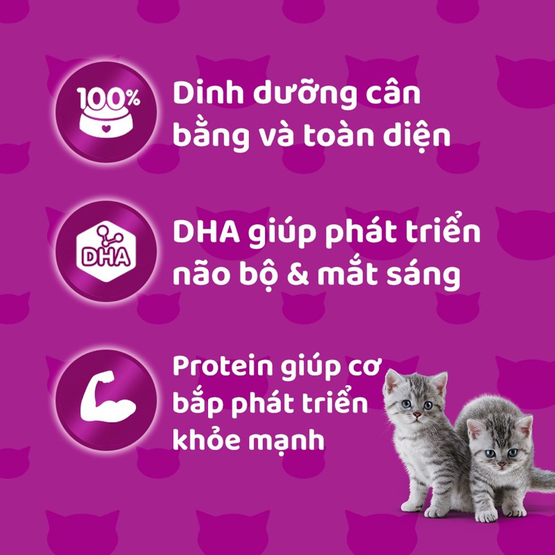 Pate Whiskas cho mèo con