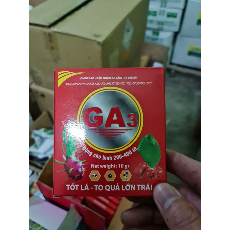 GA3