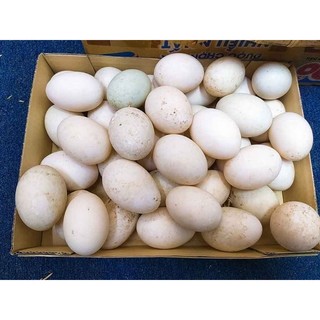 🥚🥚TRỨNG VỊT ĐỒNG ( LÒNG ĐỎ NHIỀU) - COMBO 2 QUẢ