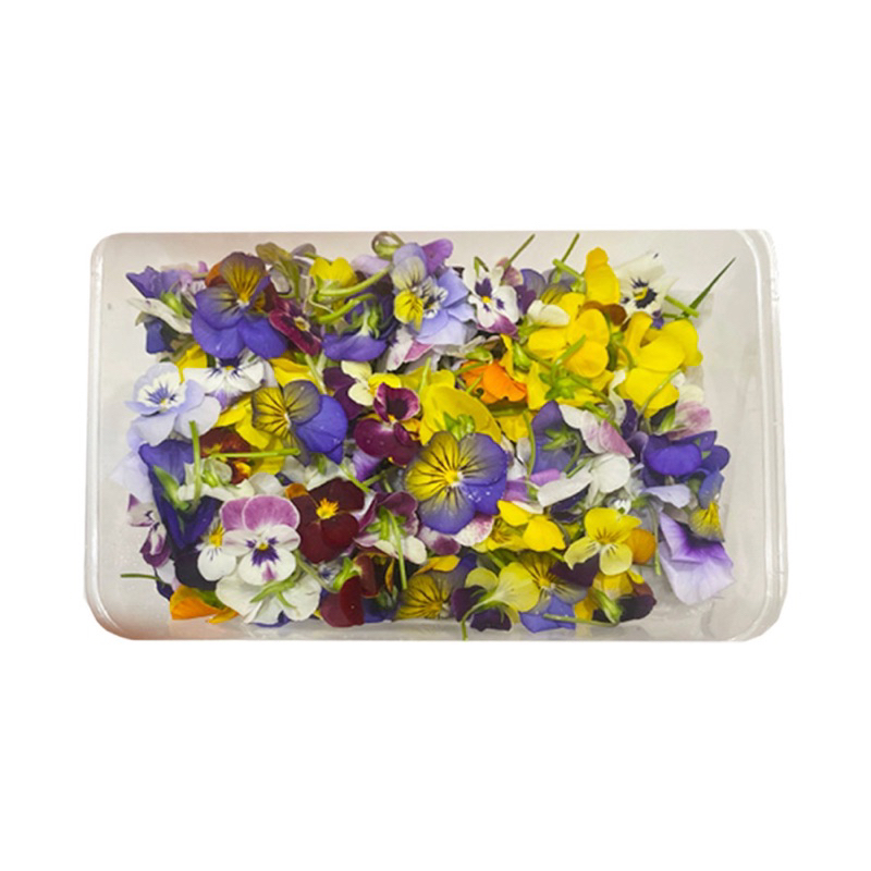 Hoa Trang Trí Violet Ăn Được (đặt trước 1 ngày)