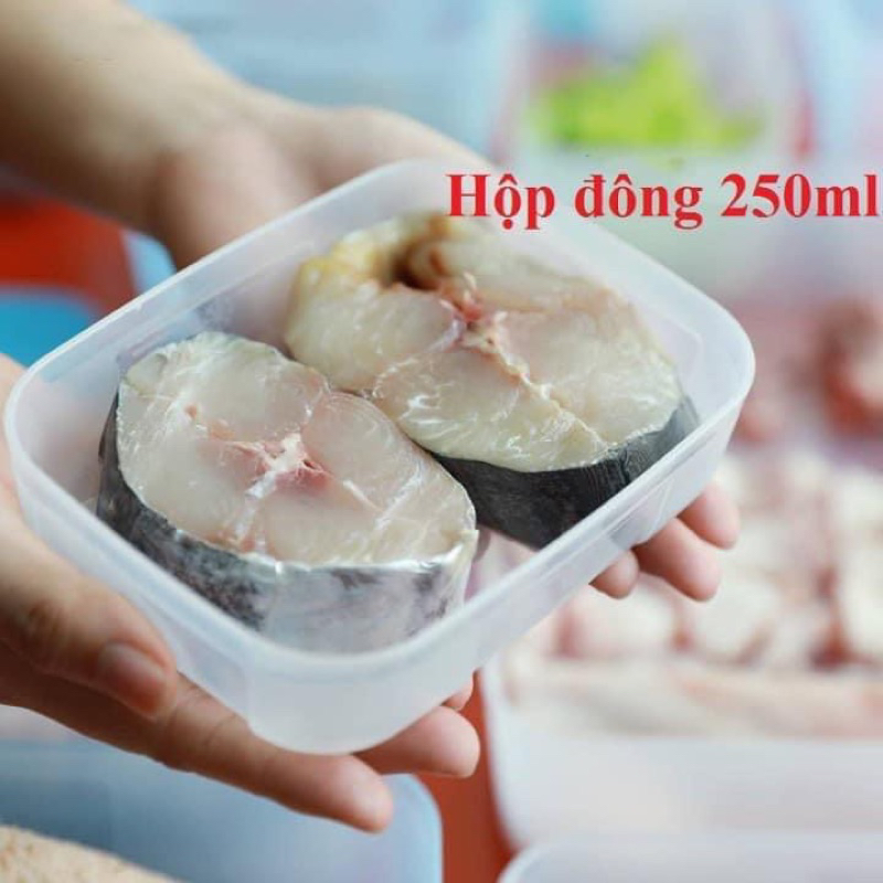 Hộp trữ đông Tupperware Freezermate 250ml