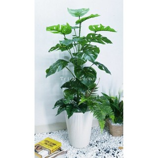 Cây giả, cây trầu bà giả, cây trầu bà lá xẻ 1m1 tặng chậu + cây điểm gốc + đá sỏi.r