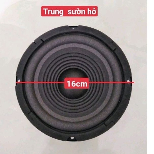 😍😍Loa trung 16cm giá 1cái